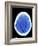 CT Brain Scan of Dementia-Science Photo Library-Framed Photographic Print