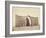 Ctesiphon, Near Baghdad, 1901-English Photographer-Framed Photographic Print