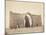 Ctesiphon, Near Baghdad, 1901-English Photographer-Mounted Photographic Print