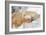 Cub Chewing on Mom‰Ûªs Paw-Howard Ruby-Framed Photographic Print