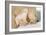 Cub Whispering to Mother-Howard Ruby-Framed Photographic Print