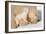 Cub Whispering to Mother-Howard Ruby-Framed Photographic Print