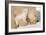 Cub Whispering to Mother-Howard Ruby-Framed Photographic Print