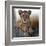 Cub-Bobbie Goodrich-Framed Giclee Print