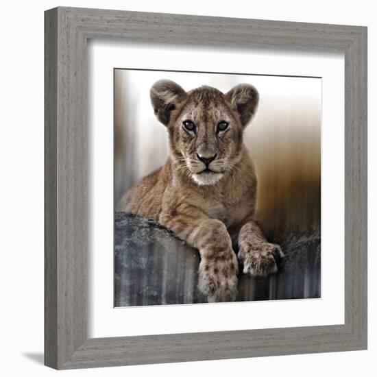 Cub-Bobbie Goodrich-Framed Giclee Print