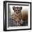 Cub-Bobbie Goodrich-Framed Giclee Print