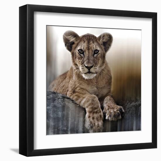 Cub-Bobbie Goodrich-Framed Giclee Print