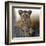 Cub-Bobbie Goodrich-Framed Giclee Print