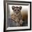 Cub-Bobbie Goodrich-Framed Giclee Print