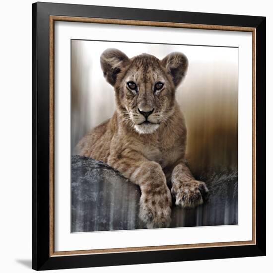 Cub-Bobbie Goodrich-Framed Giclee Print