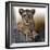 Cub-Bobbie Goodrich-Framed Giclee Print