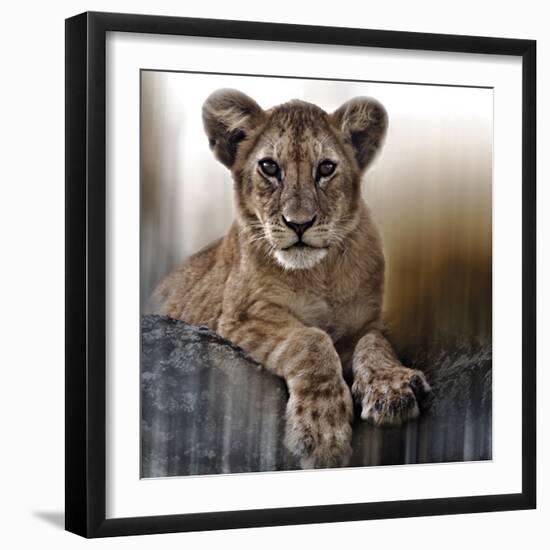 Cub-Bobbie Goodrich-Framed Giclee Print