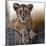 Cub-Bobbie Goodrich-Mounted Giclee Print