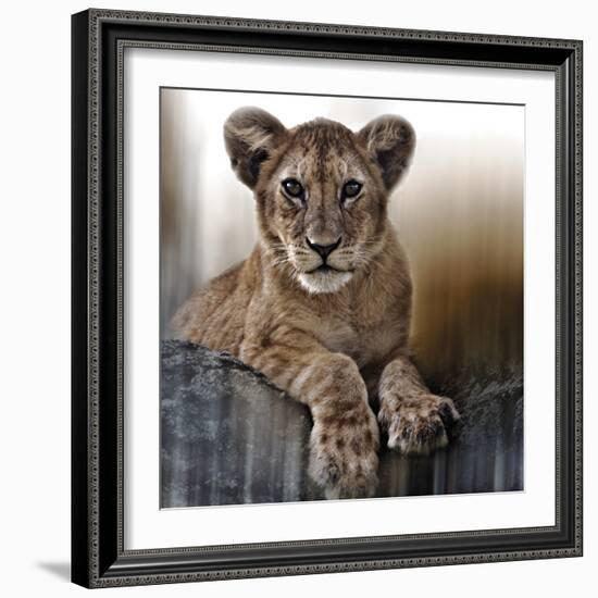 Cub-Bobbie Goodrich-Framed Giclee Print