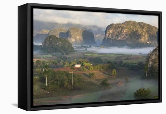 Cuba, a Farming Region Rich in Tobacco-Brenda Tharp-Framed Premier Image Canvas