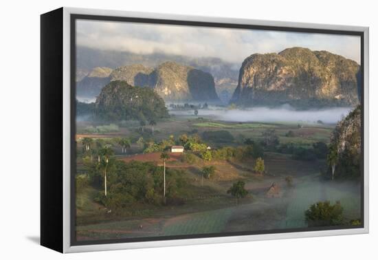 Cuba, a Farming Region Rich in Tobacco-Brenda Tharp-Framed Premier Image Canvas