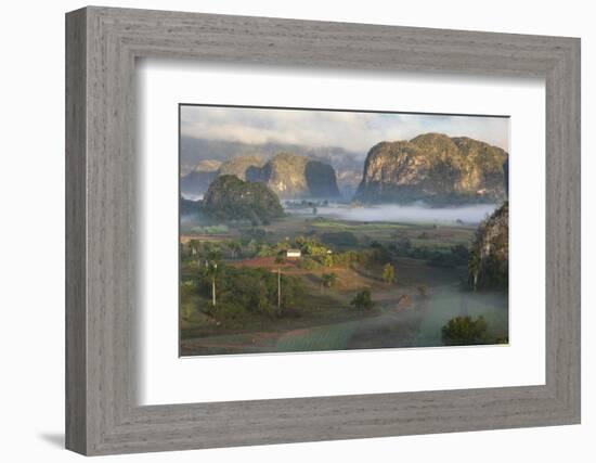 Cuba, a Farming Region Rich in Tobacco-Brenda Tharp-Framed Photographic Print