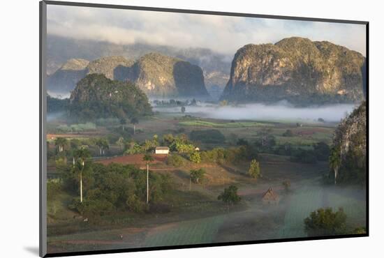 Cuba, a Farming Region Rich in Tobacco-Brenda Tharp-Mounted Photographic Print