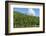 Cuba. Artemisa. Las Terrazas. UNESCO Biosphere Preserve and Eco-Community in the Rosario Mountains-Inger Hogstrom-Framed Photographic Print