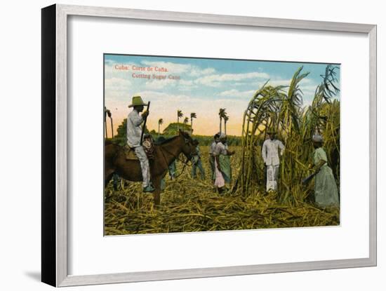 Cuba: Corte de Cana. Cutting Sugar Cane, c1910-Unknown-Framed Giclee Print