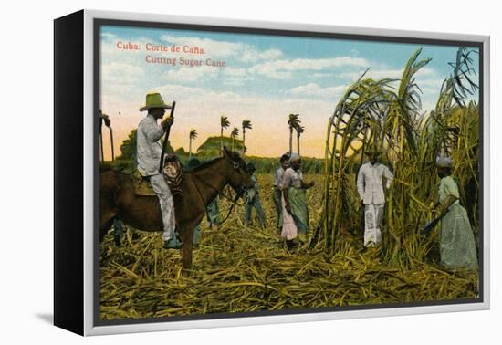 Cuba: Corte de Cana. Cutting Sugar Cane, c1910-Unknown-Framed Premier Image Canvas