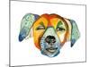 Cuba Dog, Camilla-Stacy Milrany-Mounted Premium Giclee Print