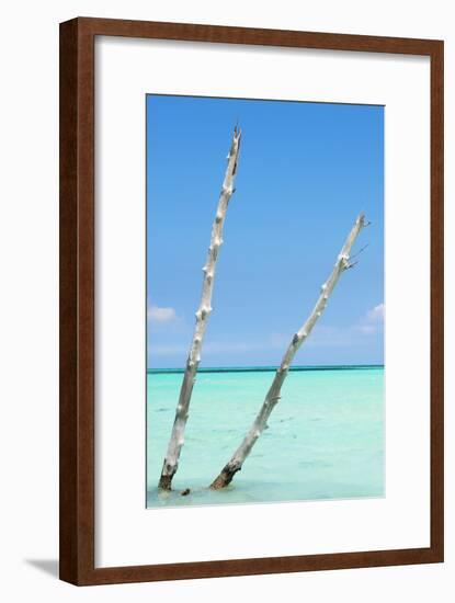 Cuba Fuerte Collection - Aquatic Tree III-Philippe Hugonnard-Framed Photographic Print