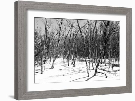 Cuba Fuerte Collection B&W - Desert of White Trees II-Philippe Hugonnard-Framed Photographic Print
