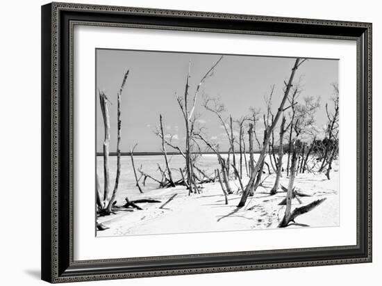 Cuba Fuerte Collection B&W - Desert of White Trees IV-Philippe Hugonnard-Framed Photographic Print