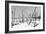 Cuba Fuerte Collection B&W - Desert of White Trees IV-Philippe Hugonnard-Framed Photographic Print