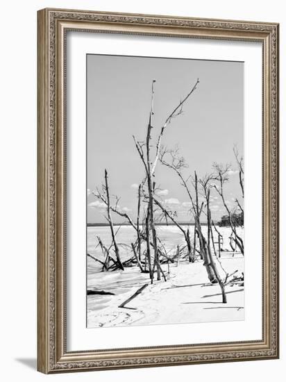 Cuba Fuerte Collection B&W - Desert of White Trees VI-Philippe Hugonnard-Framed Photographic Print