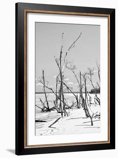 Cuba Fuerte Collection B&W - Desert of White Trees VI-Philippe Hugonnard-Framed Photographic Print