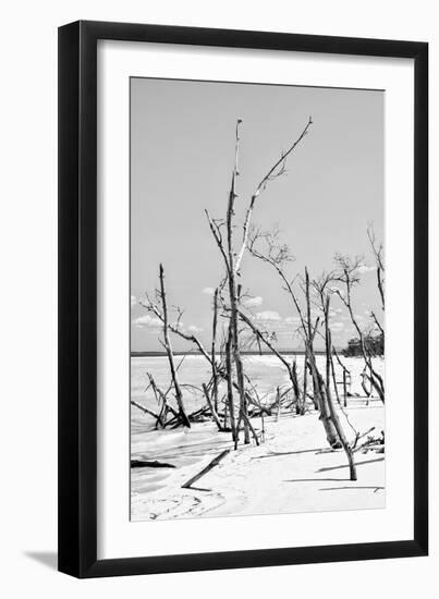 Cuba Fuerte Collection B&W - Desert of White Trees VI-Philippe Hugonnard-Framed Photographic Print