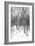 Cuba Fuerte Collection B&W - Desert of White Trees-Philippe Hugonnard-Framed Photographic Print