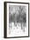 Cuba Fuerte Collection B&W - Desert of White Trees-Philippe Hugonnard-Framed Photographic Print