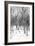 Cuba Fuerte Collection B&W - Desert of White Trees-Philippe Hugonnard-Framed Photographic Print