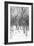 Cuba Fuerte Collection B&W - Desert of White Trees-Philippe Hugonnard-Framed Photographic Print