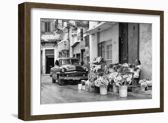 Cuba Fuerte Collection B&W - Sunflowers-Philippe Hugonnard-Framed Photographic Print