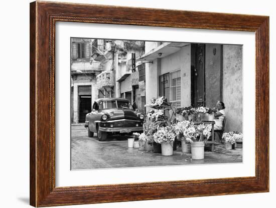 Cuba Fuerte Collection B&W - Sunflowers-Philippe Hugonnard-Framed Photographic Print