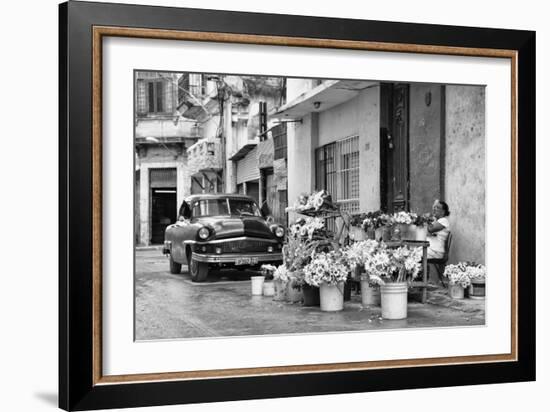 Cuba Fuerte Collection B&W - Sunflowers-Philippe Hugonnard-Framed Photographic Print