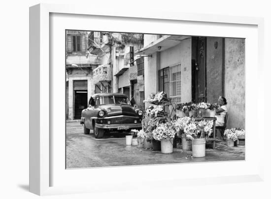 Cuba Fuerte Collection B&W - Sunflowers-Philippe Hugonnard-Framed Photographic Print