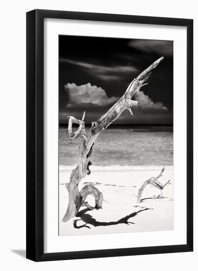 Cuba Fuerte Collection B&W - Trees and White Sand IX-Philippe Hugonnard-Framed Photographic Print
