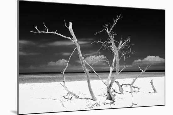 Cuba Fuerte Collection B&W - Trees and White Sand V-Philippe Hugonnard-Mounted Premium Photographic Print