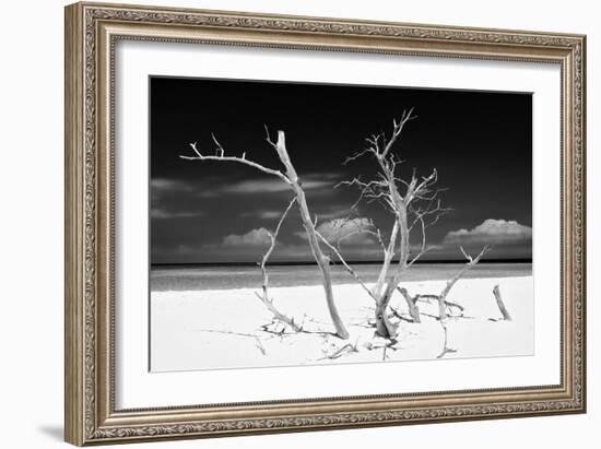 Cuba Fuerte Collection B&W - Trees and White Sand V-Philippe Hugonnard-Framed Photographic Print