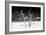 Cuba Fuerte Collection B&W - Trees and White Sand V-Philippe Hugonnard-Framed Photographic Print