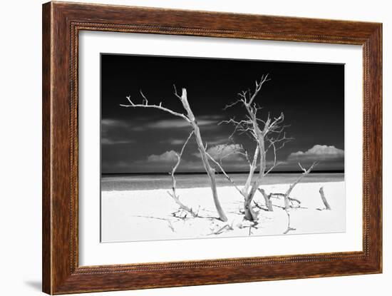 Cuba Fuerte Collection B&W - Trees and White Sand V-Philippe Hugonnard-Framed Photographic Print