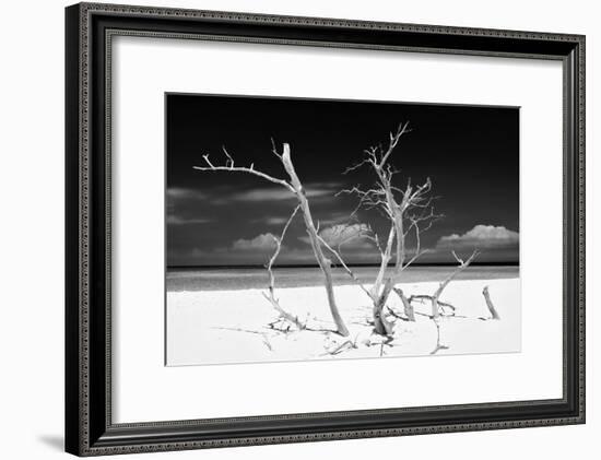 Cuba Fuerte Collection B&W - Trees and White Sand V-Philippe Hugonnard-Framed Photographic Print