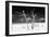 Cuba Fuerte Collection B&W - Trees and White Sand V-Philippe Hugonnard-Framed Photographic Print