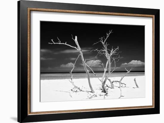 Cuba Fuerte Collection B&W - Trees and White Sand V-Philippe Hugonnard-Framed Photographic Print