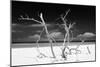 Cuba Fuerte Collection B&W - Trees and White Sand V-Philippe Hugonnard-Mounted Photographic Print